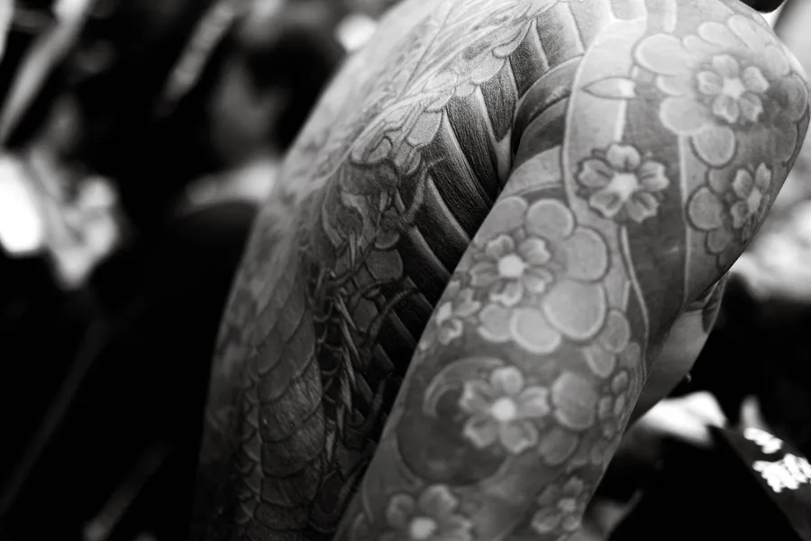 Audrey Cdr Profile Image